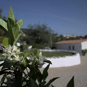  Appartement Swimming Pool Quinta Da Eira 140 Years Old